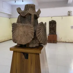 Rani Durgavati Museum - Sidhi