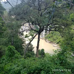 Coronation Bridge (Sevoke Bridge) - Siliguri