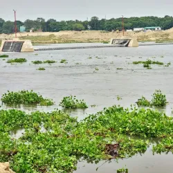 Mahananda River - Siliguri