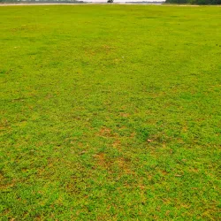 Mahananda River - Siliguri