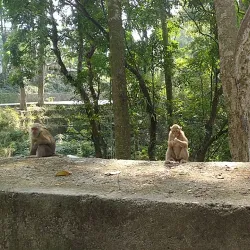 Mahananda Wildlife Sanctuary - Siliguri