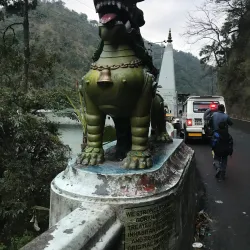 Mahananda Wildlife Sanctuary - Siliguri