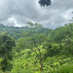 Mahananda Wildlife Sanctuary - Siliguri