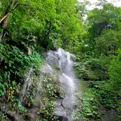 Mahananda Wildlife Sanctuary - Siliguri