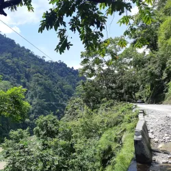 Mahananda Wildlife Sanctuary - Siliguri