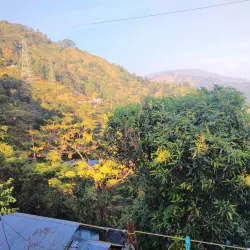 Tea Gardens of Mirik - Siliguri