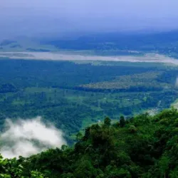 Tea Gardens of Mirik - Siliguri