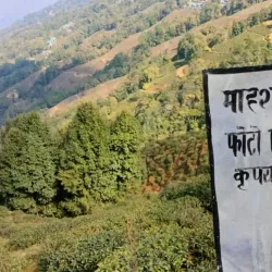 Tea Gardens of Mirik - Siliguri