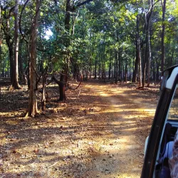 Deer Park - Silvassa