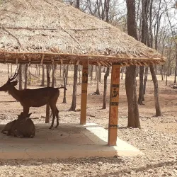 Deer Park - Silvassa