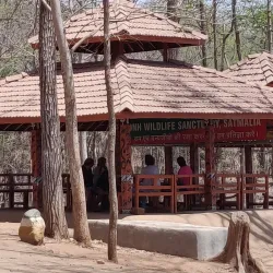 Deer Park - Silvassa