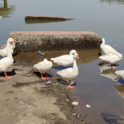 Dudhni Lake - Silvassa