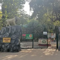 Lion Safari Park - Silvassa