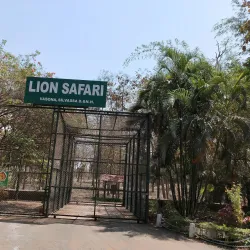 Lion Safari Wildlife Park - Silvassa