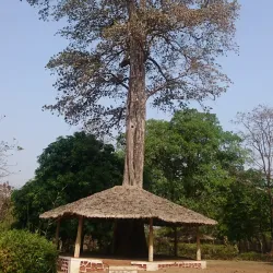 Lion Safari Wildlife Park - Silvassa