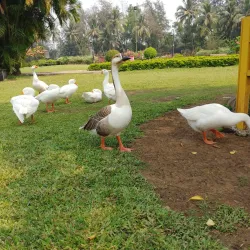 Vanganga Garden - Silvassa
