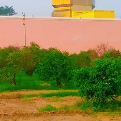 Dera Sacha Sauda - Sirsa