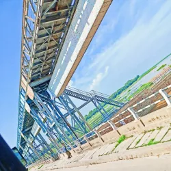 Harike Wetland (nearby) - Sirsa