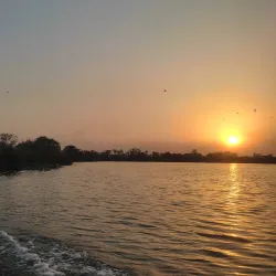 Harike Wetland (nearby) - Sirsa