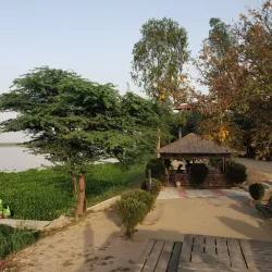 Harike Wetland (nearby) - Sirsa