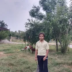 Local Parks and Gardens - Sirsa