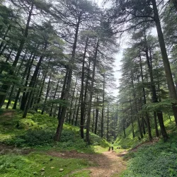 Chail Sanctuary - Solan