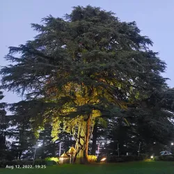 Chail Sanctuary - Solan