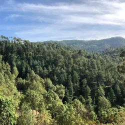 Chail Sanctuary - Solan