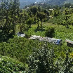 Kasauli Brewery - Solan