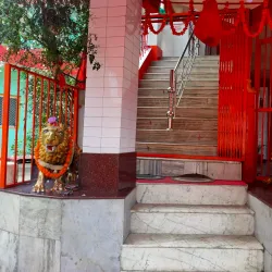 Shoolini Mata Temple - Solan