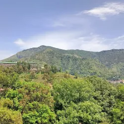 Shoolini Mata Temple - Solan