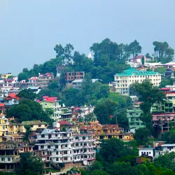 Solan Market - Solan