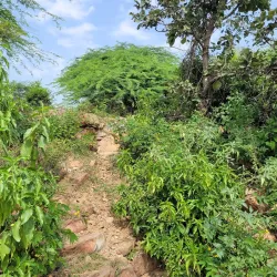 Anangpur Dam - Sonipat