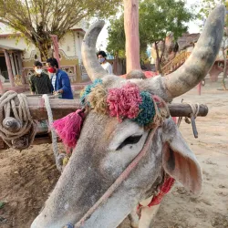 Sonipat Haat - Sonipat