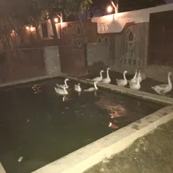 Sonipat Haat - Sonipat