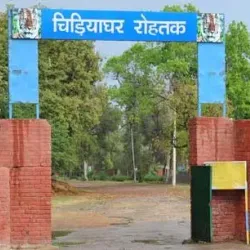 Tilyar Lake and Zoo - Sonipat