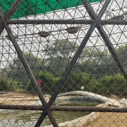 Tilyar Lake and Zoo - Sonipat