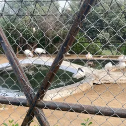 Tilyar Lake and Zoo - Sonipat