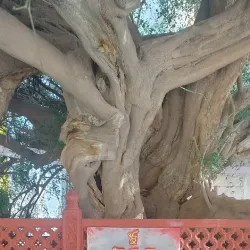 Gurdwara Shahidganj Sahib - Sri Muktsar Sahib