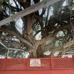 Gurdwara Sri Muktsar Sahib - Sri Muktsar Sahib