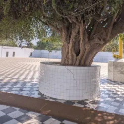 Gurdwara Tibbi Sahib Sarovar - Sri Muktsar Sahib