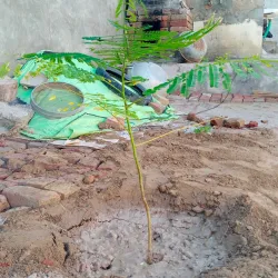 Muktsar Battle Memorial - Sri Muktsar Sahib