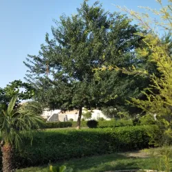 Muktsar Battle Memorial - Sri Muktsar Sahib