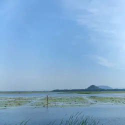Kondakarla Ava - Srikakulam