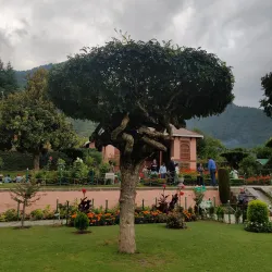 Chashme Shahi - Srinagar