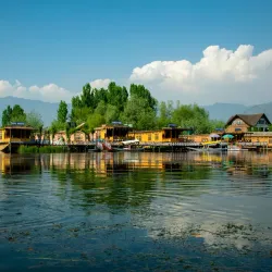 Dal Lake - Srinagar