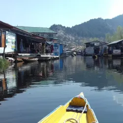 Dal Lake - Srinagar