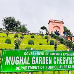 Mughal Gardens - Srinagar