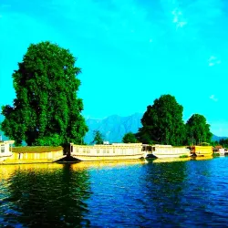 Nigeen Lake - Srinagar