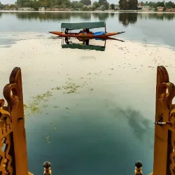 Nigeen Lake - Srinagar
